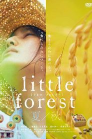 Маленький лес: лето и осень